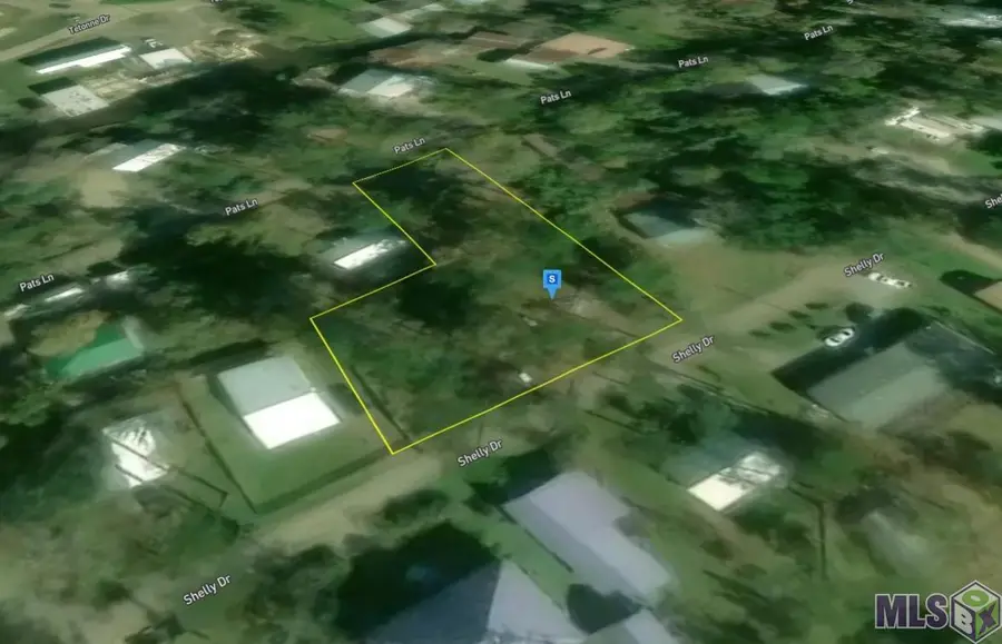 31935 Shelly Dr, Springfield, LA 70462 - #3