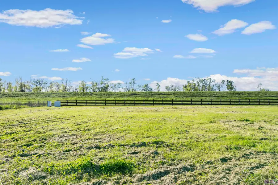 4304 Camargue Avenue, Baton Rouge, LA 70820 - #2