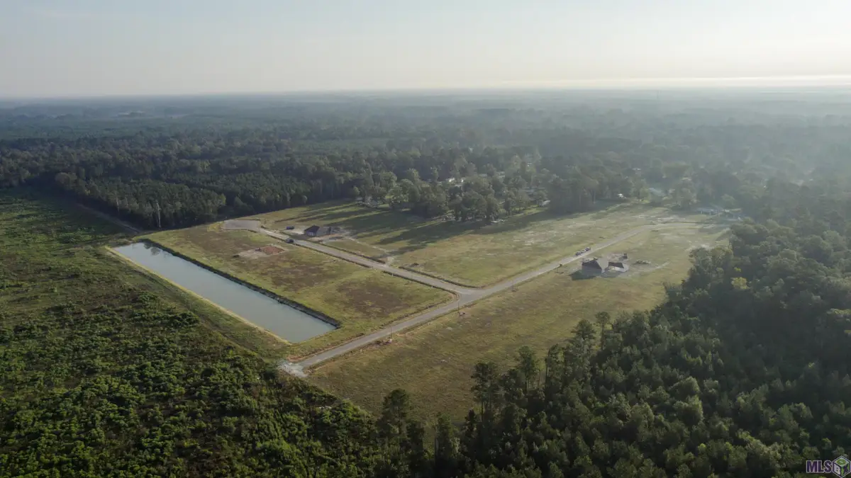 24112 Red Tail Lane, Denham Springs, LA 70726 - #1