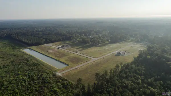 24112 Red Tail Lane, Denham Springs, LA 70726