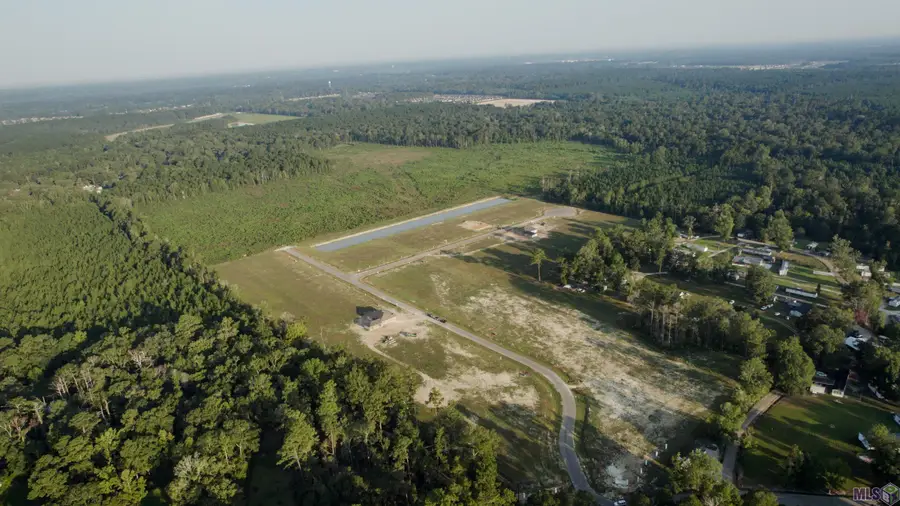 24112 Red Tail Lane, Denham Springs, LA 70726 - #2