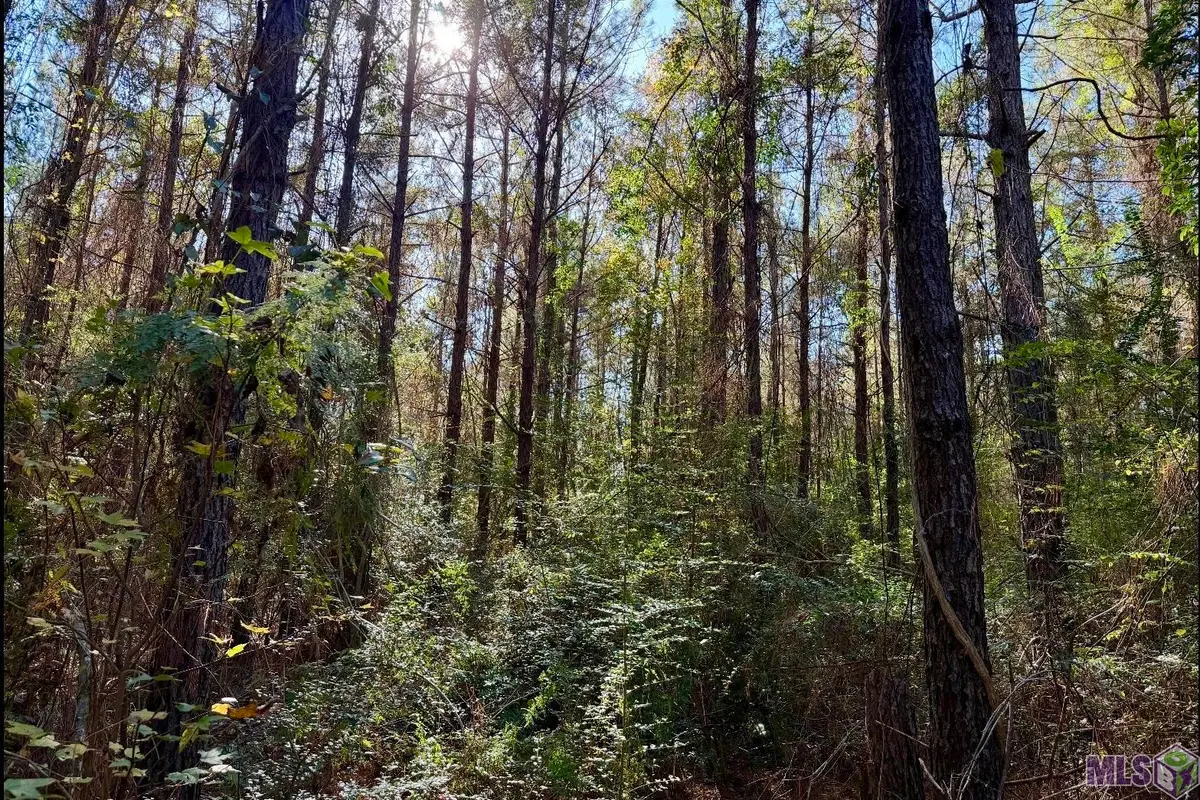 25 Bobcat Lane, Amite, LA 70442 - #1