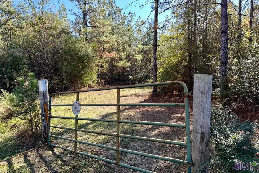 25 Bobcat Lane, Amite, LA 70442 - #2