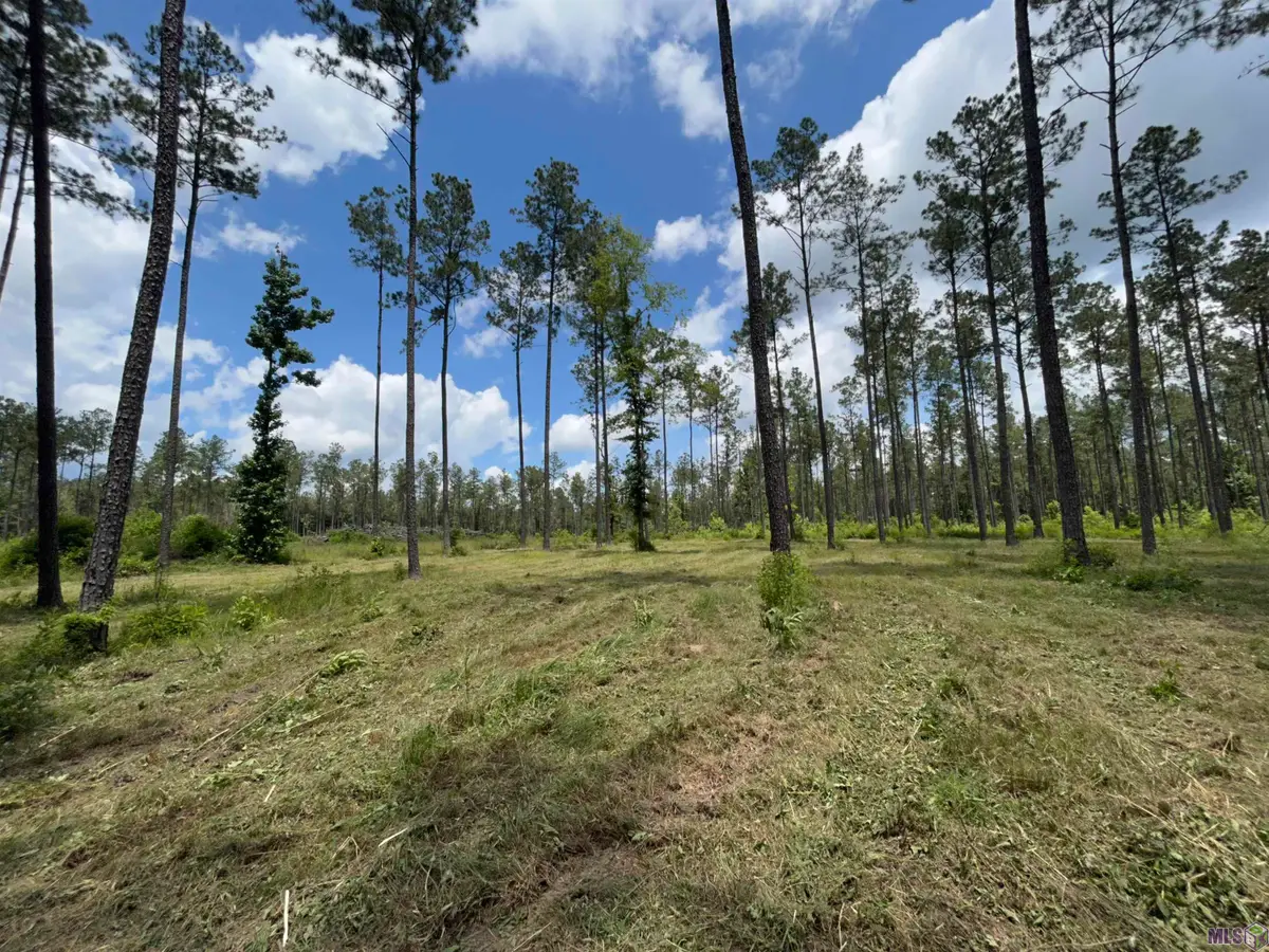 14856 Pace Rd, Clinton, LA 70722 - #1