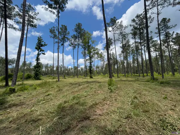 14856 Pace Rd, Clinton, LA 70722