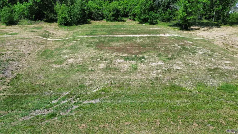 13031 Bluff Rd, Geismar, LA 70734 - #3