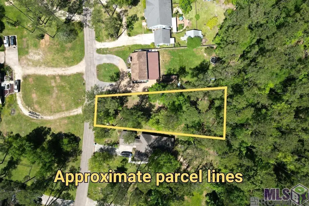 31531 River Pines Dr, Springfield, LA 70462 - #1