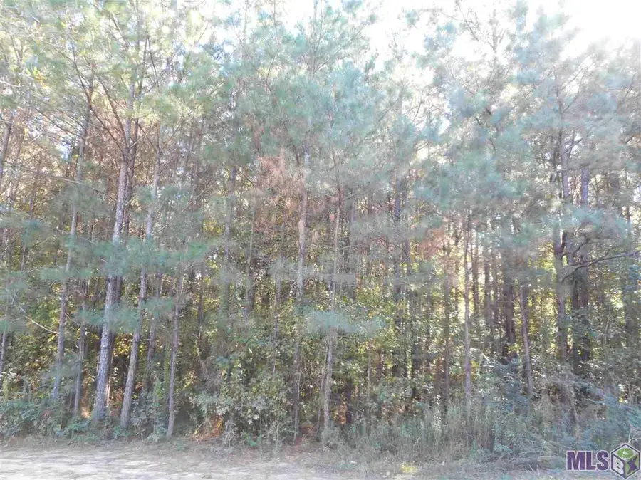 7430-D Lane Rd, Ethel, LA 70730 - #3