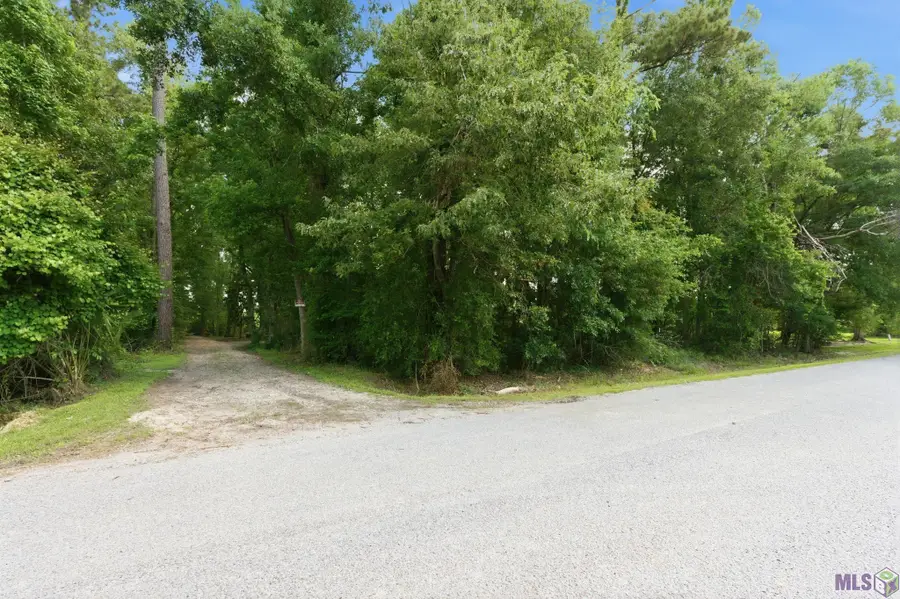 43148 Pine Lake Dr, Prairieville, LA 70769 - #3