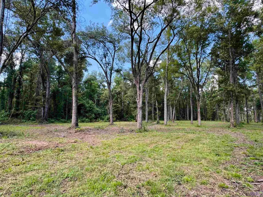 RS-2 La Hwy 16, Denham Springs, LA 70706 - #2