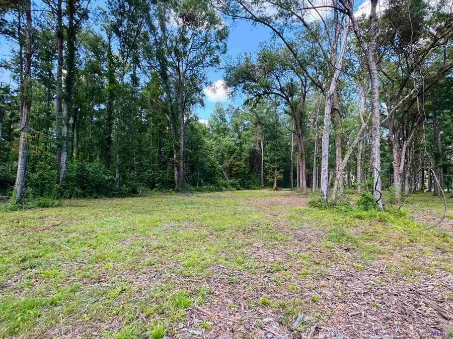 RS-2 La Hwy 16, Denham Springs, LA 70706 - #3