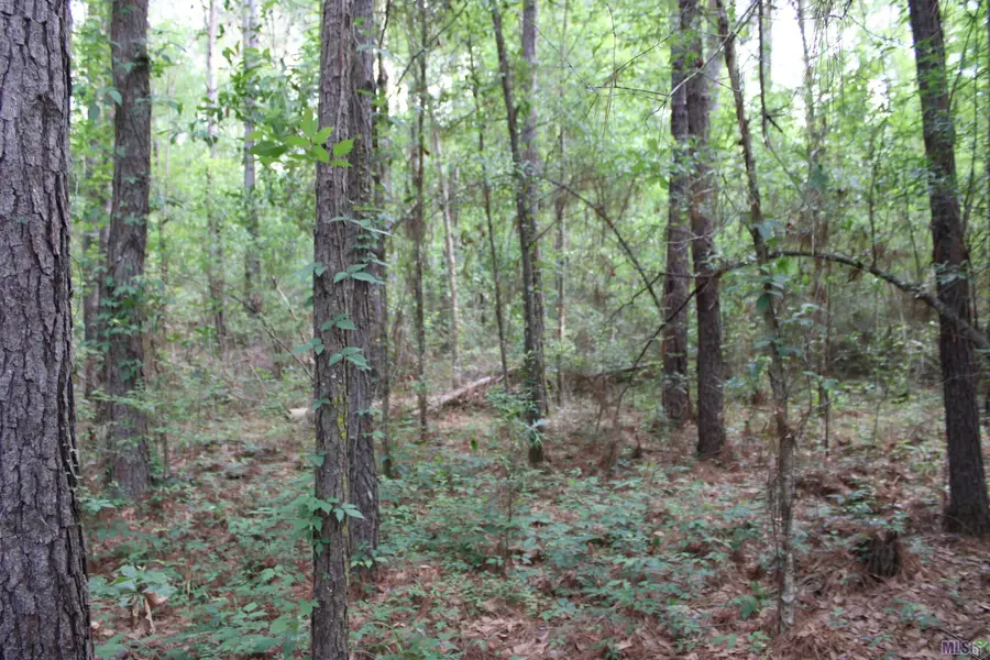 TBD Carpenters Landing Rd, Hammond, LA 70454 - #2