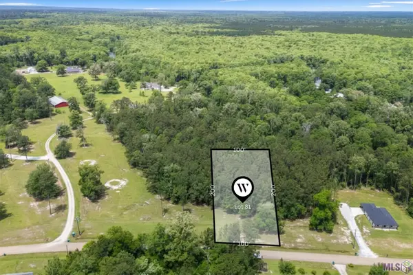 TBD Lot 81 Riverside Rd, Springfield, LA 70462