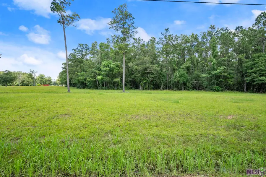 TBD Lot 82 Riverside Rd, Springfield, LA 70462 - #2