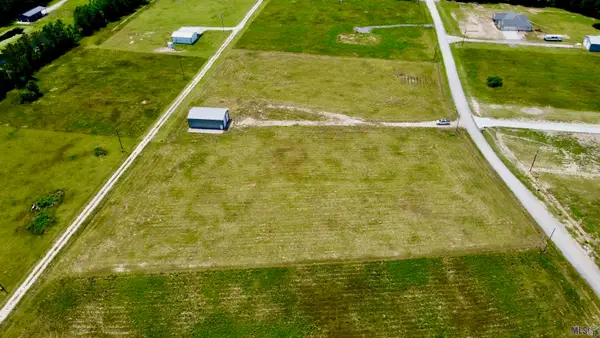 21254 Mayberry Lane, Livingston, LA 70754