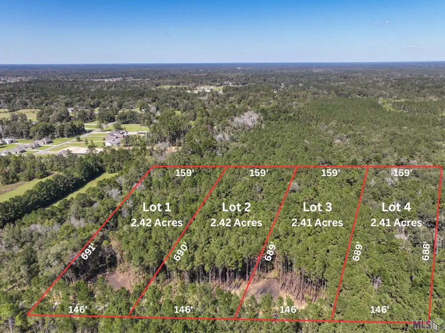 34760 Clinton Allen Rd, Denham Springs, LA 70706 - #2