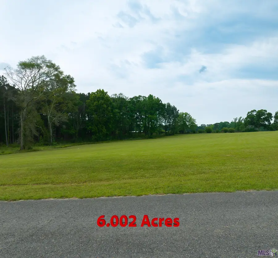 90110 Basil Ln, Saint Francisville, LA 70775 - #2