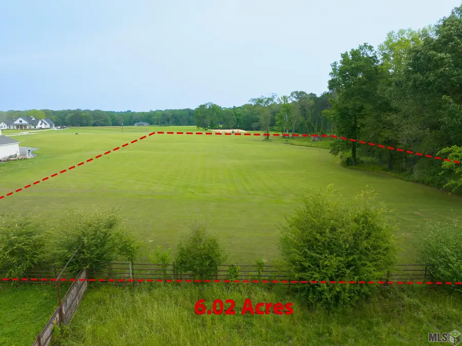 90110 Basil Ln, Saint Francisville, LA 70775 - #3