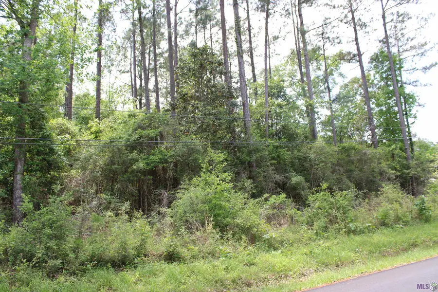 TBD Pinewood Road, Bogalusa, LA 70427 - #3