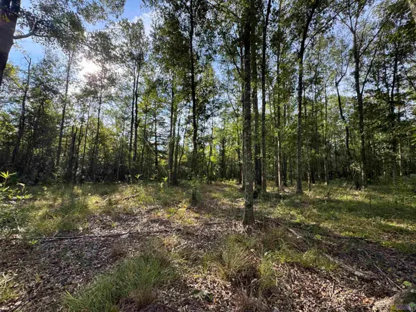 SF-9 La Hwy 16, Denham Springs, LA 70706