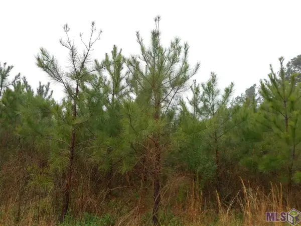 TBD Mccoy Byrnes Rd, Ethel, LA 70730