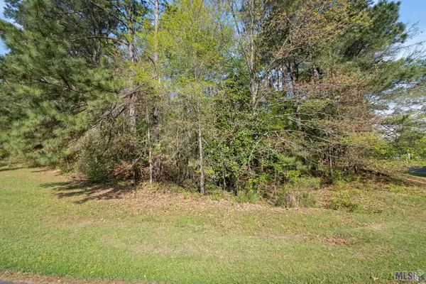 14320 Sunrise Way, St. Francisville, LA 70775