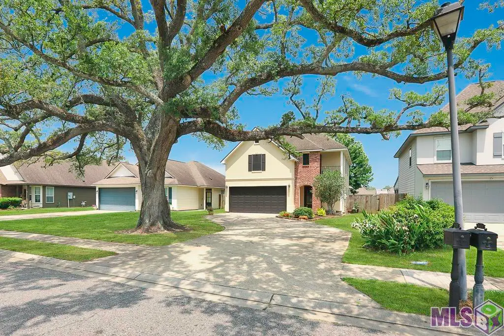 36420 Callaway Ave, Geismar, LA 70734 - #1