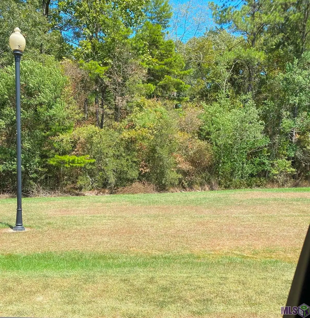 Lot 41 Shelby Dr, Denham Springs, LA 70706 - #1