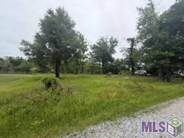 19151 River Bend Rd, Maurepas, LA 70449 - #3