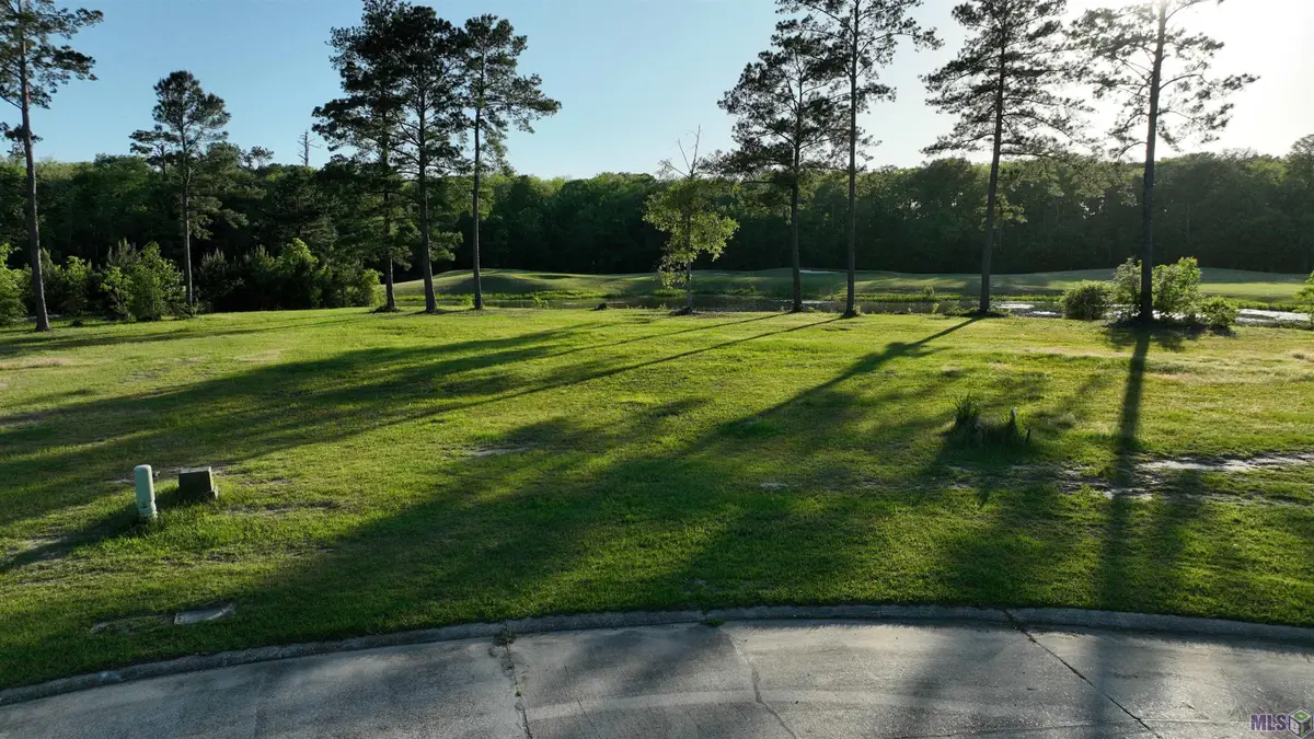 23282 Noble Oak Dr, Springfield, LA 70462 - #1