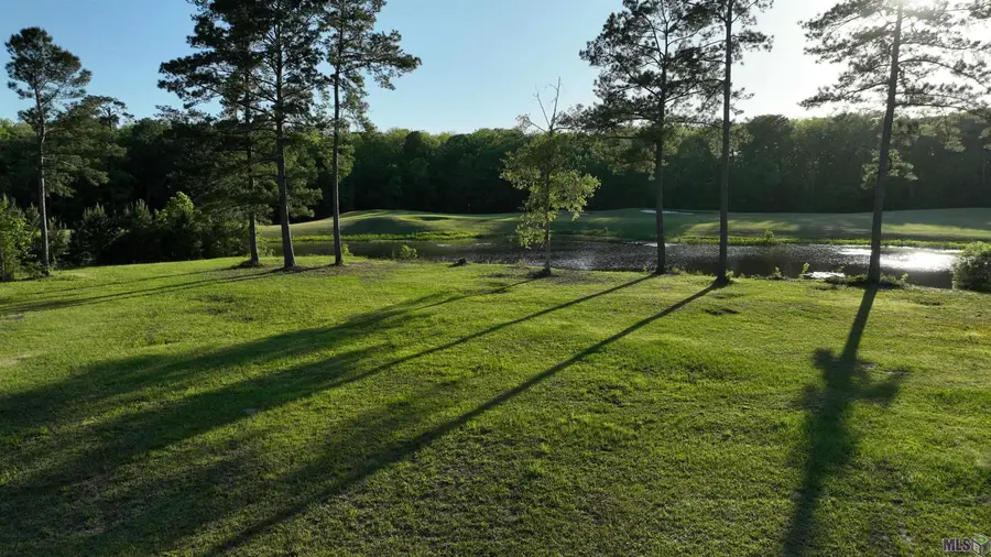 23282 Noble Oak Dr, Springfield, LA 70462 - #3