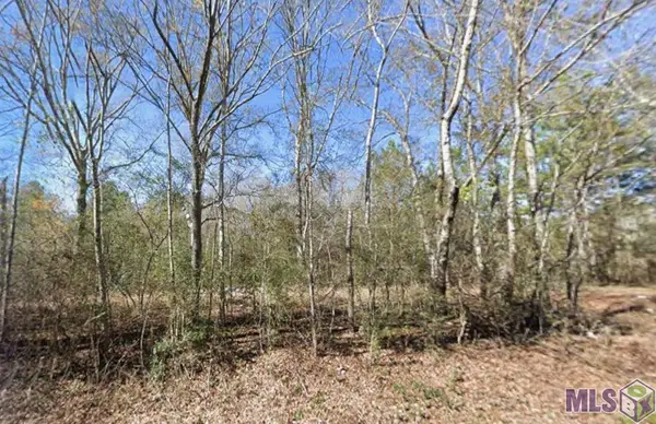 Sam Thomas Road, Franklinton, LA 70438
