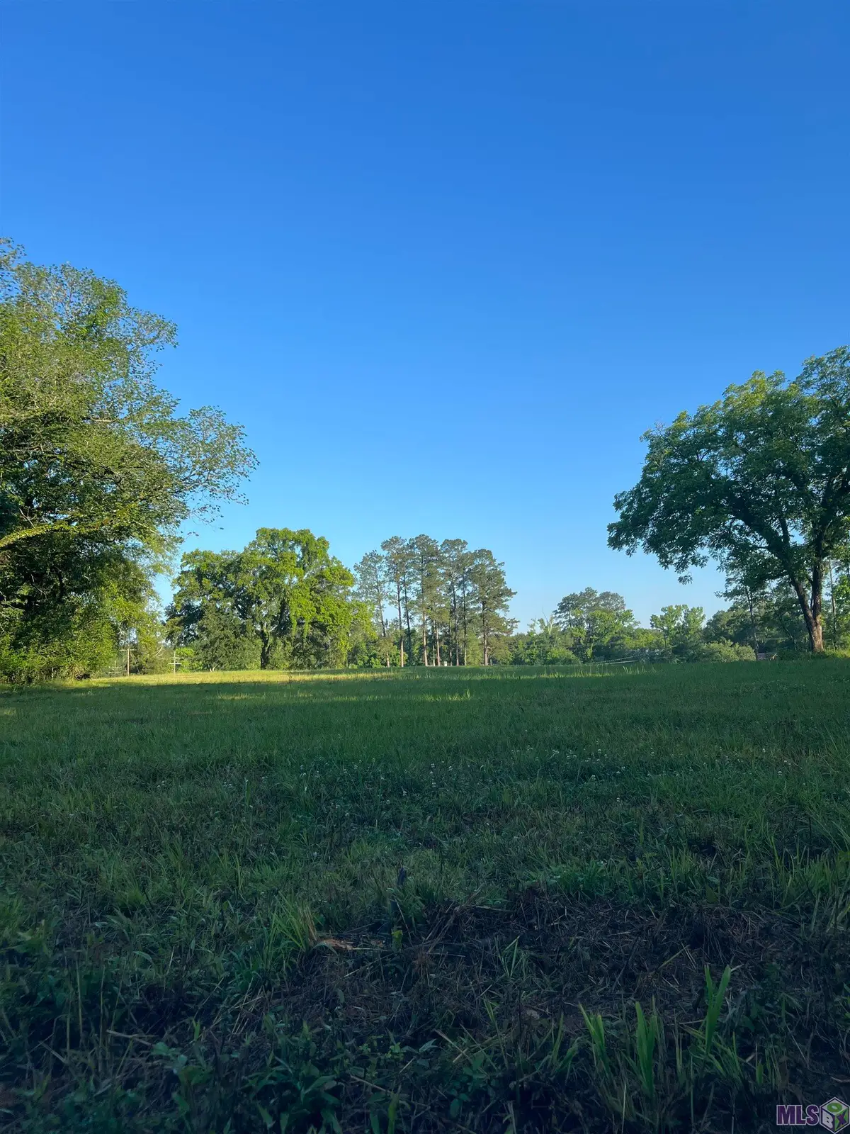 11623 Liberty St, Clinton, LA 70722 - #1