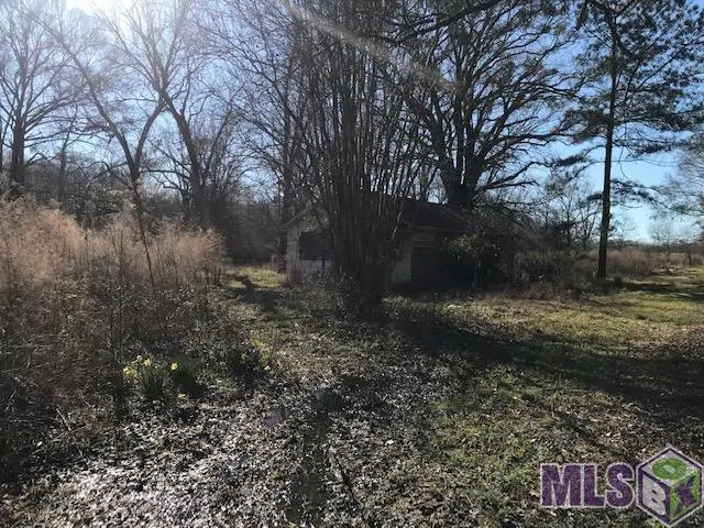 21571 Ligon Rd, Zachary, LA 70791 - #3