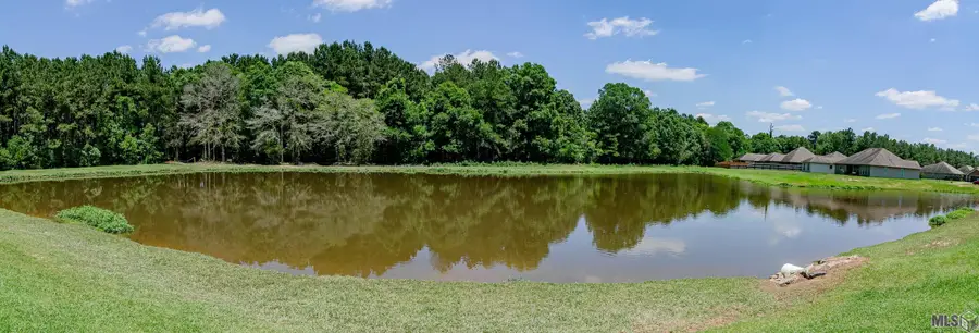 26406 Evangeline Trace Blvd, Denham Springs, LA 70726 - #2