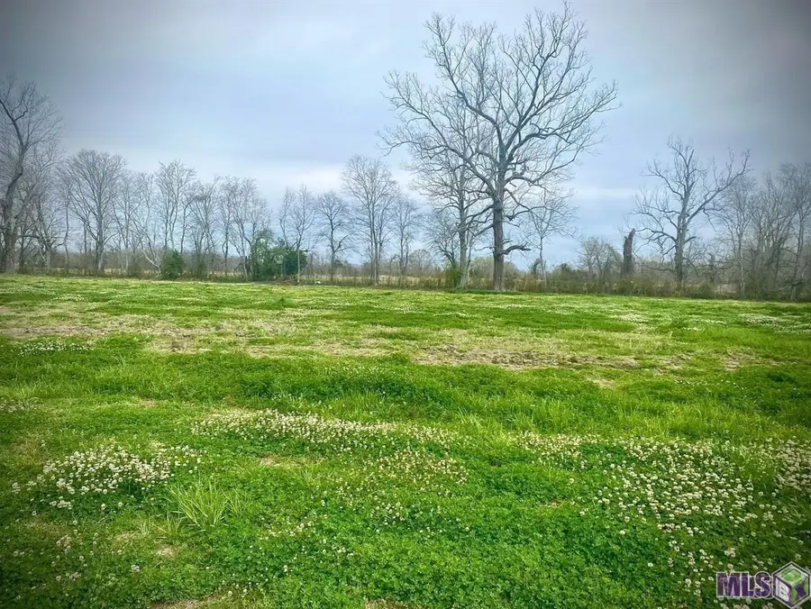 Lot 2 St Clara Ave, Port Allen, LA 70767 - #2