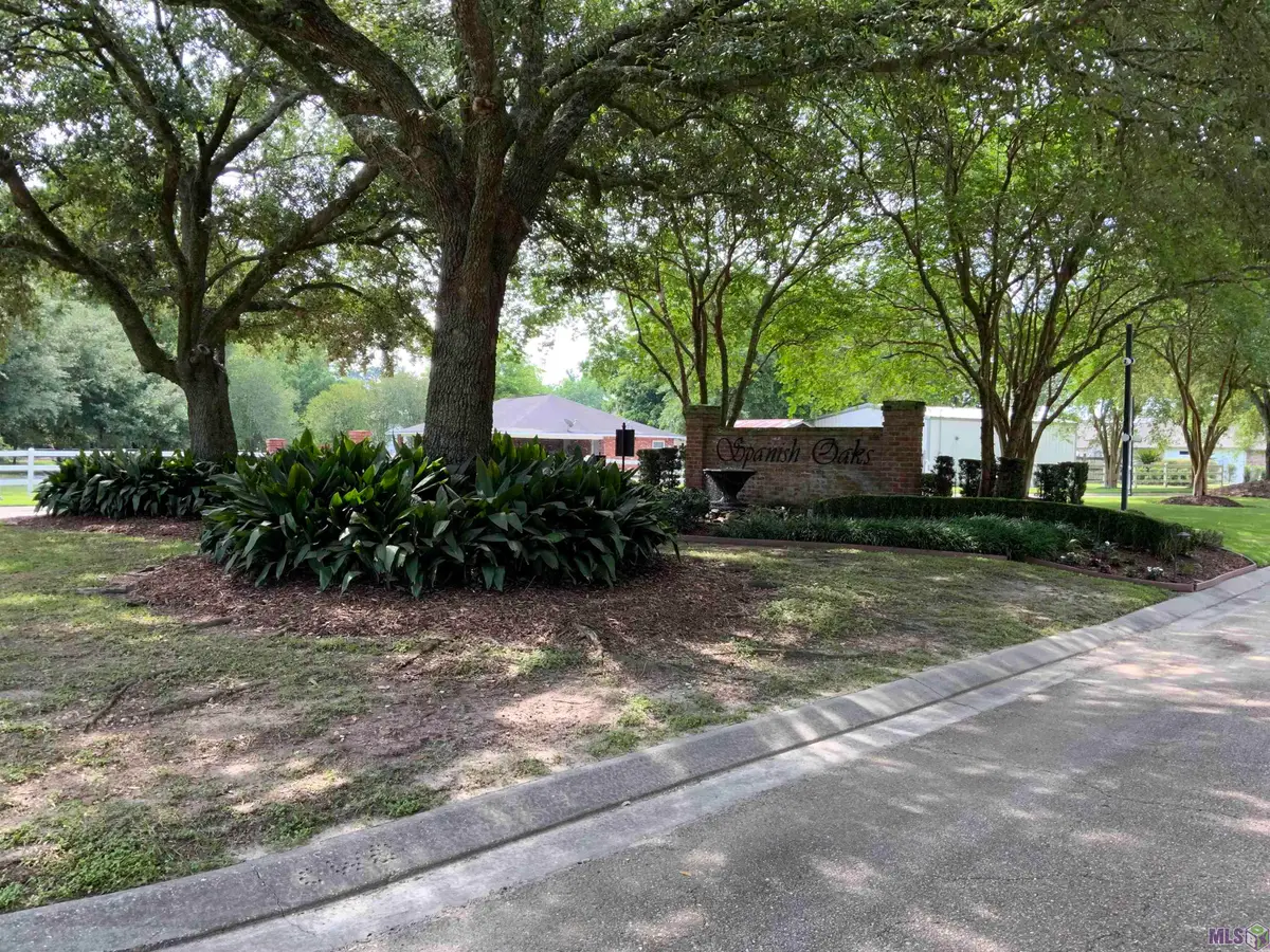 16306 Winding Ridge Ave, Prairieville, LA 70769 - #1