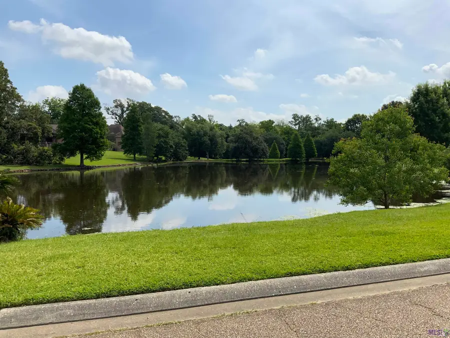 16306 Winding Ridge Ave, Prairieville, LA 70769 - #2