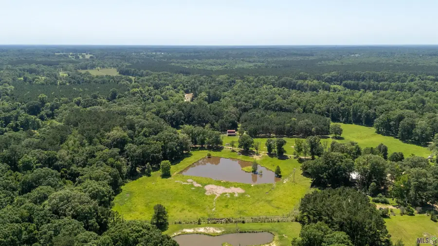 10841 & 10893 La Hwy 955, Ethel, LA 70730 - #2