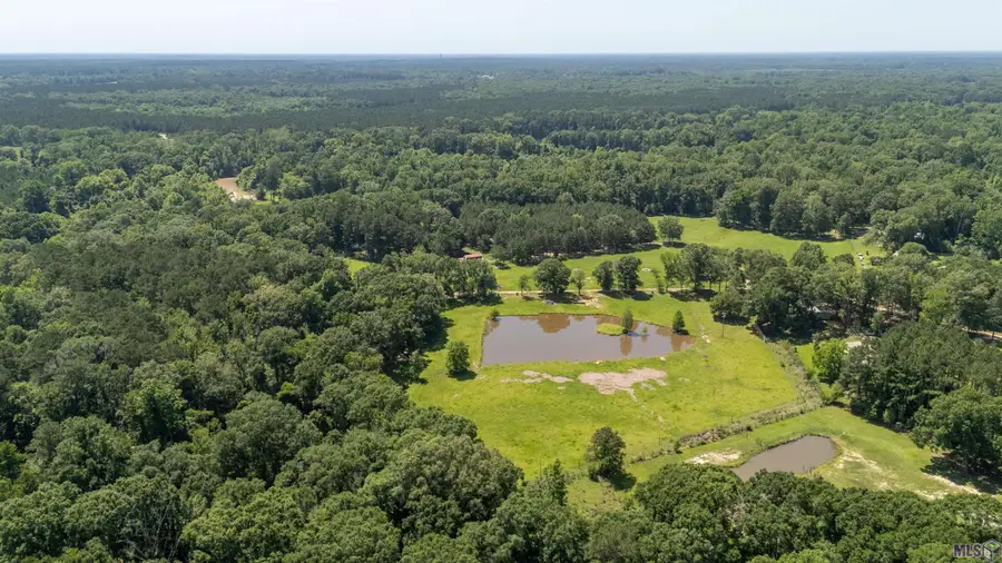 10841 & 10893 La Hwy 955, Ethel, LA 70730 - #3