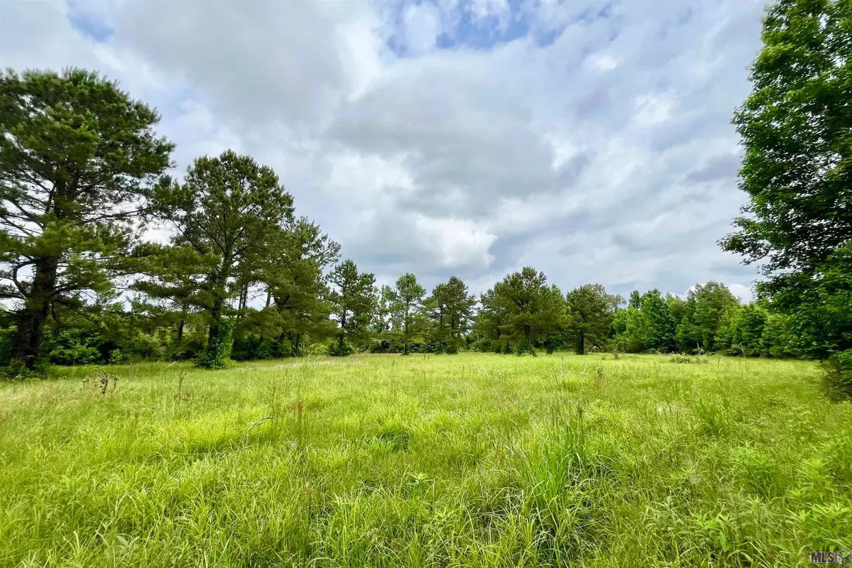 05 Tom Drehr Rd, Pride, LA 70770 - #1