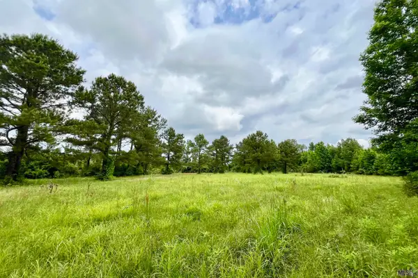 05 Tom Drehr Rd, Pride, LA 70770