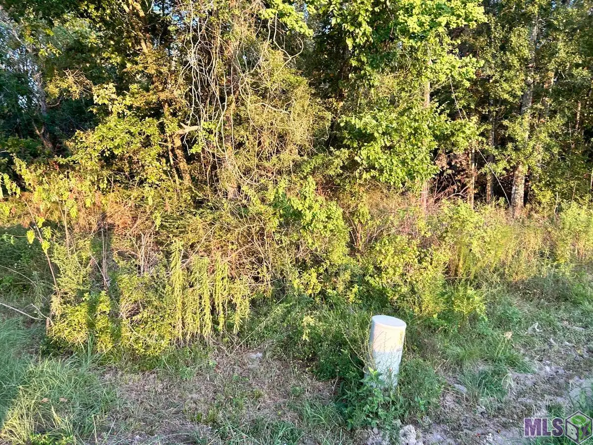 TBA 1-C La Hwy 431, Prairieville, LA 70769 - #1