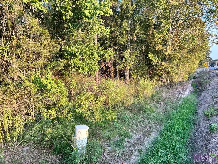 TBA 1-C La Hwy 431, Prairieville, LA 70769 - #3