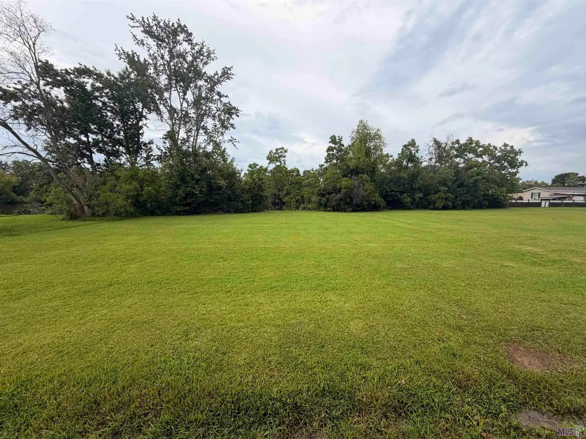 41482 Narvie Rd, Gonzales, LA 70737 - #1