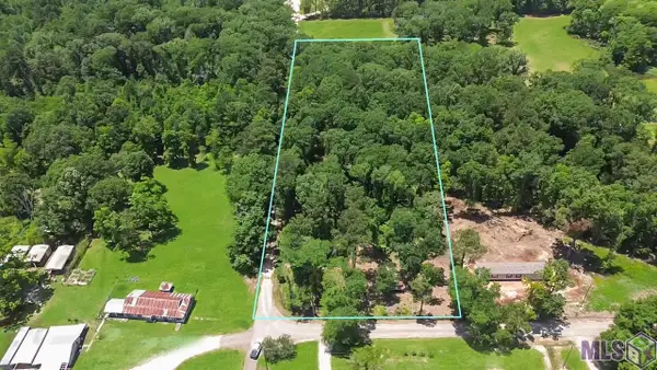 Tract C Picou Rd, Maurepas, LA 70449
