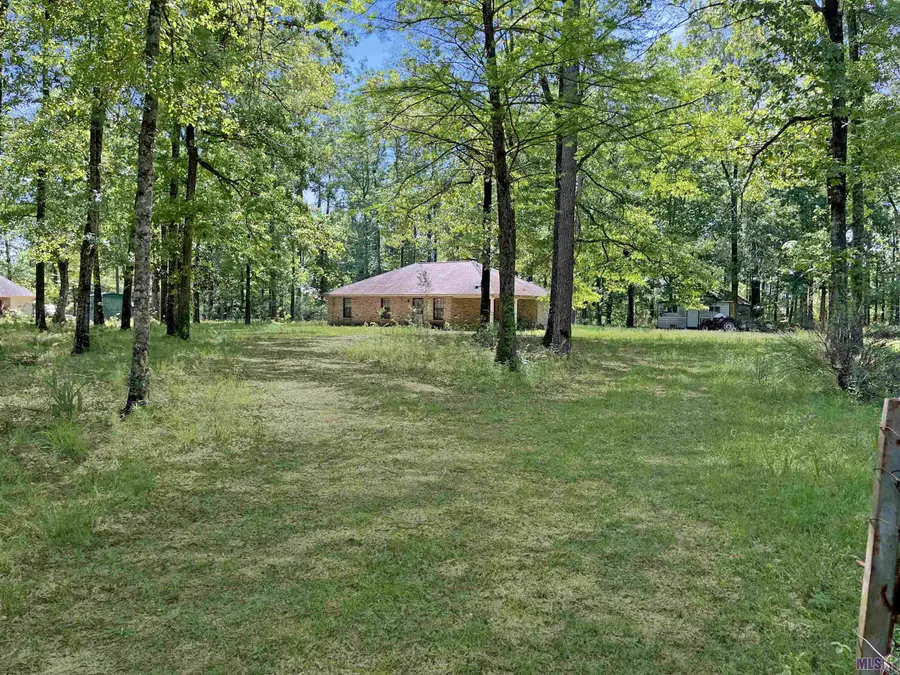 11232 Buddy Ellis Rd, Denham Springs, LA 70726 - #3