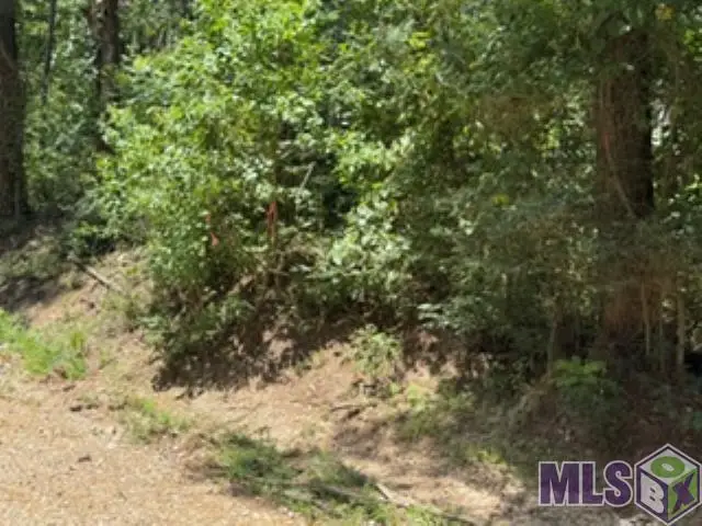 1101 Leonard Chapel Rd, Amite, LA 70422 - #2