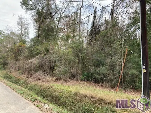Lot 31 Lucien St, Denham Springs, LA 70726 - #1