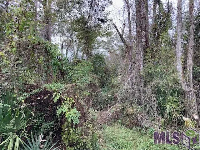 Lot 13 Lucien St, Denham Springs, LA 70726 - #1